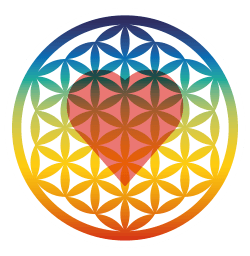 Sofia Gastrobar Ibiza